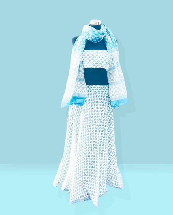 Brijwasin Sky Blue and White Gopi dress
