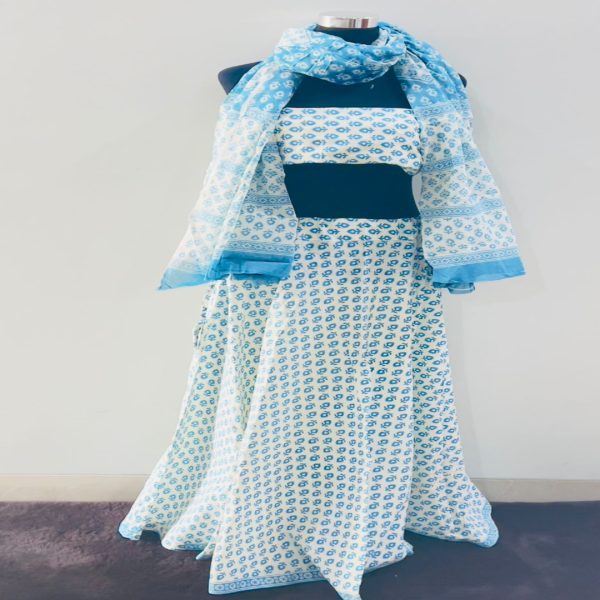 Brijwasin Sky Blue and White Gopi dress